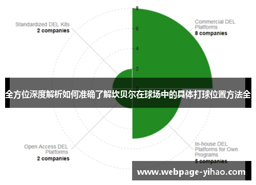 全方位深度解析如何准确了解坎贝尔在球场中的具体打球位置方法全